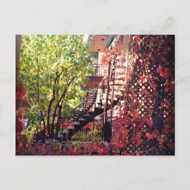 kurir vykort (Framsida)