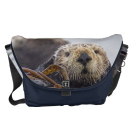 Kuriren för uttern för det kurir väska