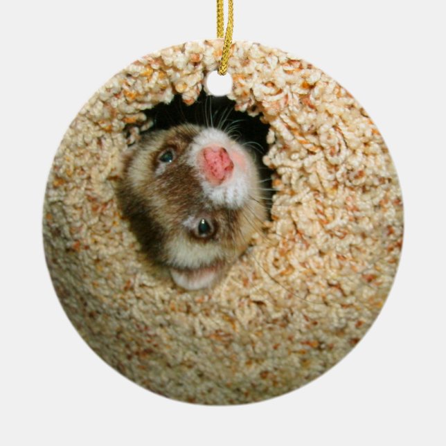 KurragömmaPauley prydnad Julgransprydnad Keramik (Framsidan)