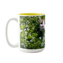 Kurrekt kaffekopp