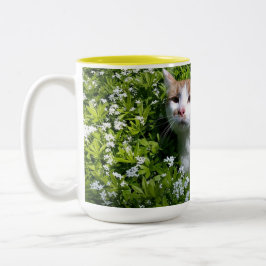 Kurrekt kaffekopp