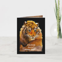 Kurs är inte alltid ROAR