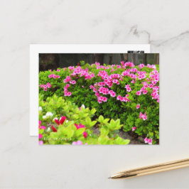 Kurume Azalea Vykort