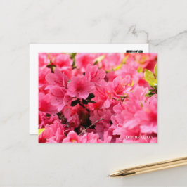 Kurume Azalea Vykort