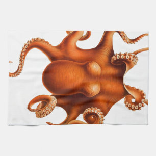Kuslig orange bläckfisk kökshandduk