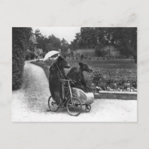 Kusliga björnar för Victorian som rider cykeln Vykort