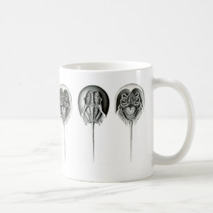 Kust- hästskokrabba kaffemugg