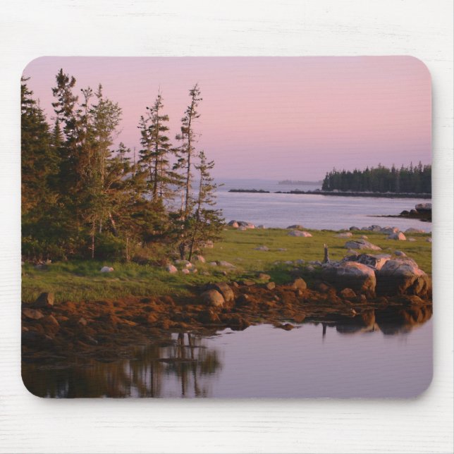 Kust- skymning musmatta (Framsidan)
