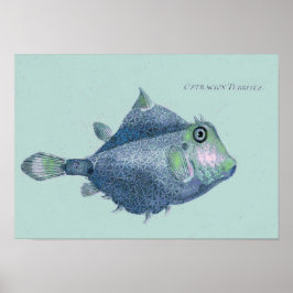 Kust - tropiska vintagar poster