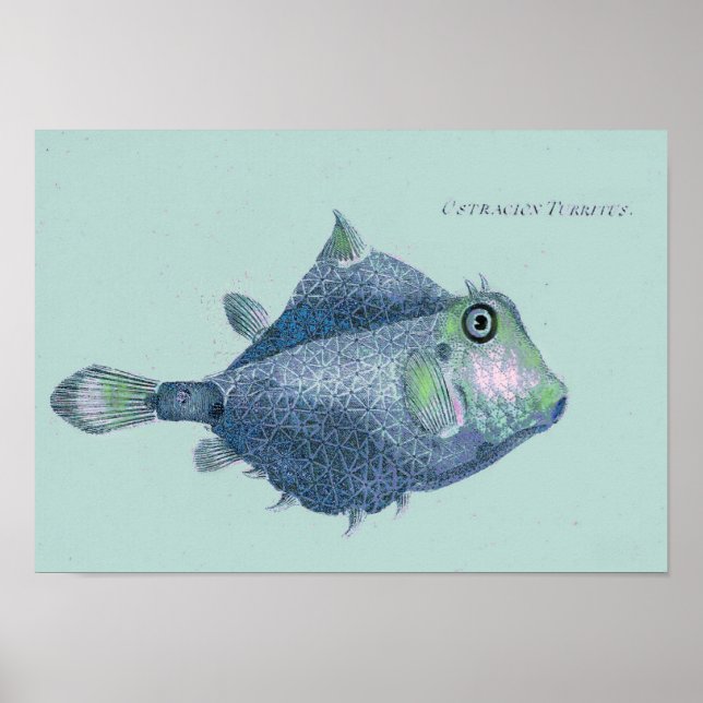 Kust - tropiska vintagar poster (Framsidan)