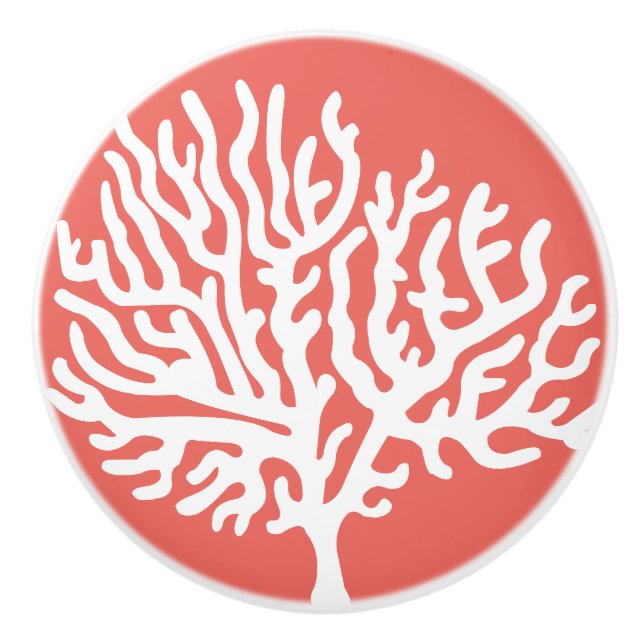 Kust- vithavskorall & korallrosor knopp (Framsidan)