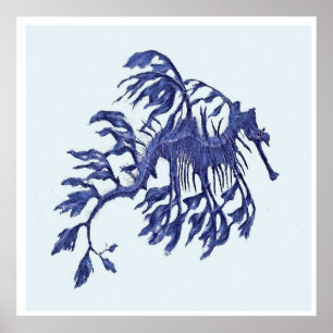 Kust- Weedy havsdrake Poster