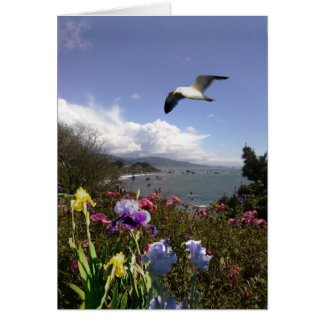 Kustboende Hälsningskort