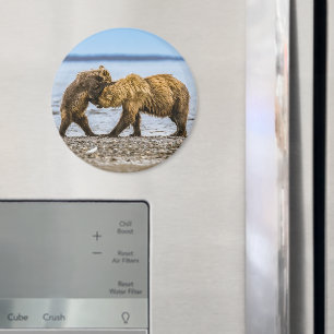 Kustbrunbjörn Magnet