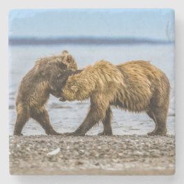 Kustbrunbjörn Stenunderlägg