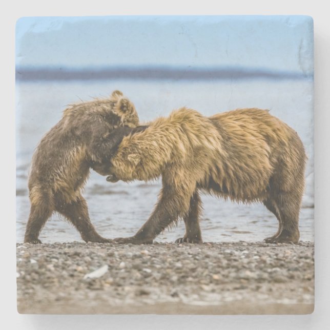 Kustbrunbjörn Stenunderlägg (Framsidan)