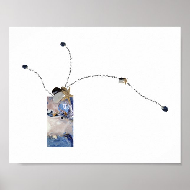 Kustbukett av seashells visuella dikt konst poster (Framsidan)