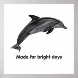 Kustdelfin Affisch