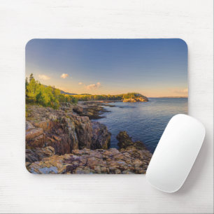 Kusten Acadia National Park, Schooner Head Musmatta