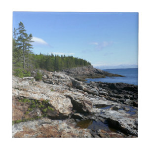 Kusten av Bar Island i Acadia National Park Kakelplatta