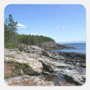 Kusten av Bar Island vid Acadia National Park Fyrkantigt Klistermärke