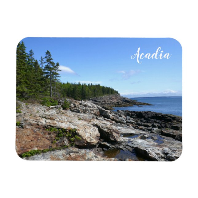 Kusten av Bar Island vid Acadia National Park Magnet (Horisontell)