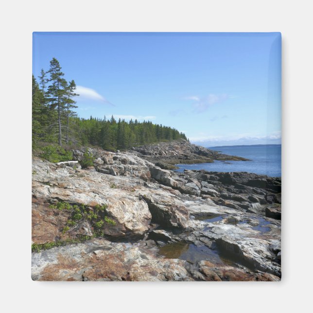 Kusten av Bar Island vid Acadia National Park Magnet (Framsidan)