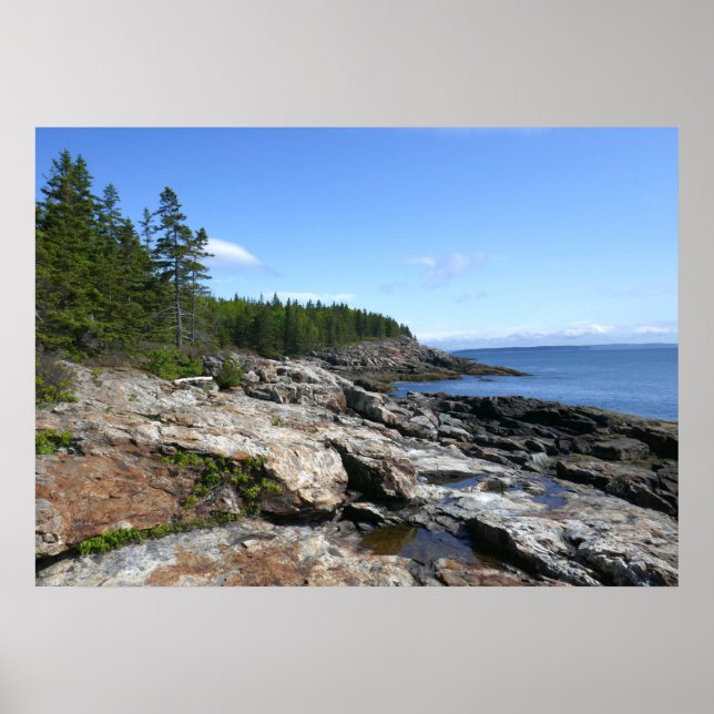 Kusten av Bar Island vid Acadia National Park Poster (Framsidan)