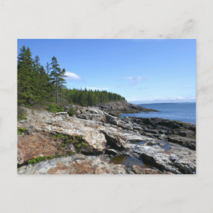Kusten av Bar Island vid Acadia National Park Vykort
