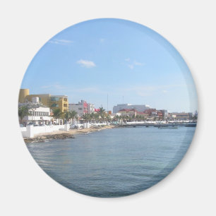 Kusten av Cozumel Mexico Magnet