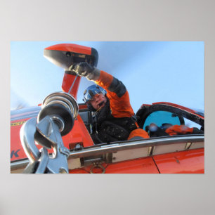 Kusten Guard HH-65-delfinhelikopter Poster