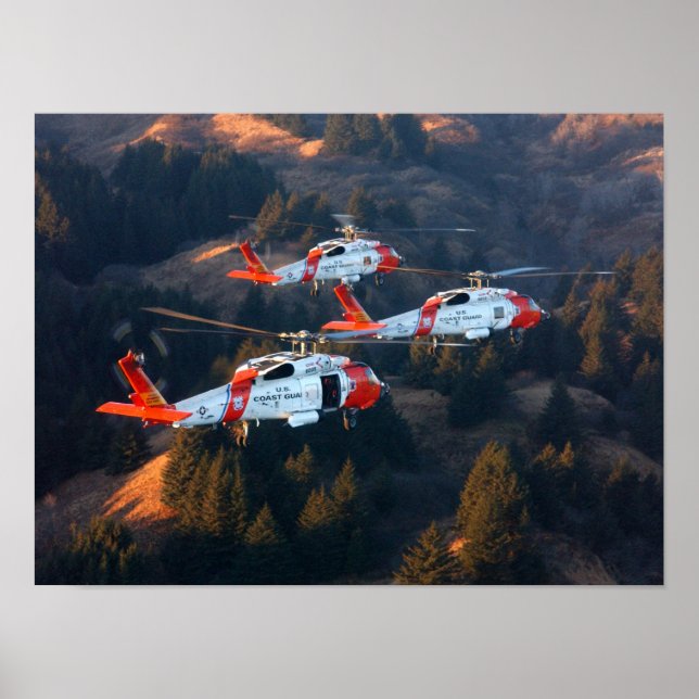 Kusten Guard MH-60 Jayhawk Helicopters Poster (Framsidan)