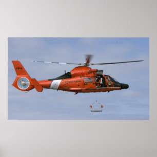 Kusten Guard MH-65-delfiner Poster
