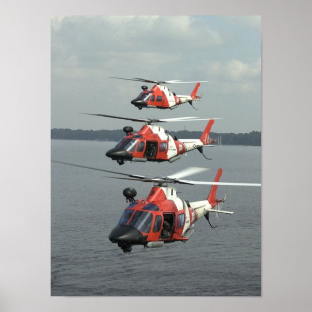 Kusten Guard MH-68 Mako-helikoptrar Poster (Framsidan)