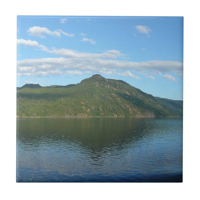 Kusten i British Columbia i Scenia Canada Kakelplatta (Framsidan)
