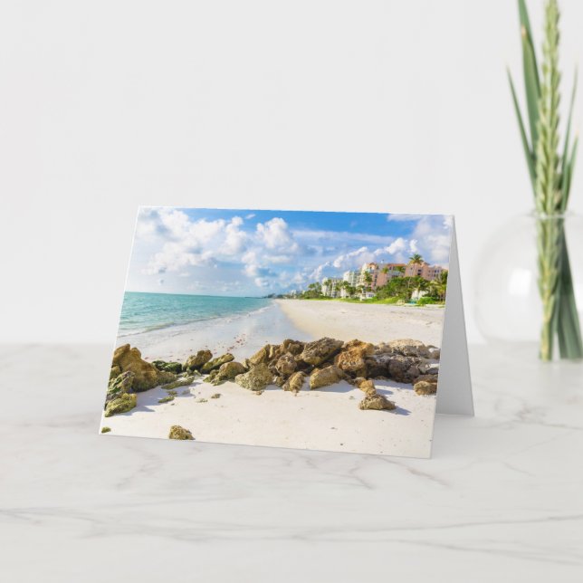 Kusten | Neapel Pier, Southwest Florida Kort (Framsida)