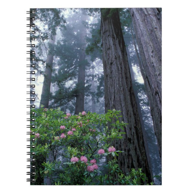 Kusten Redwood och Rhododendrons Anteckningsbok (Framsidan)