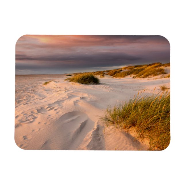 Kusten | Saltum Beach, Danmark Magnet (Horisontell)
