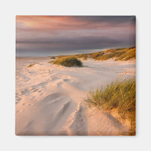 Kusten Saltum Beach, Danmark Magnet