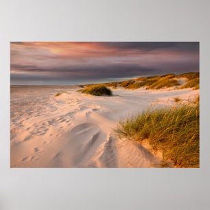 Kusten   Saltum Beach, Danmark Poster