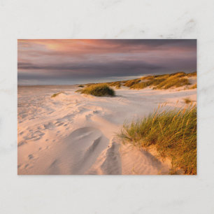 Kusten Saltum Beach, Danmark Vykort