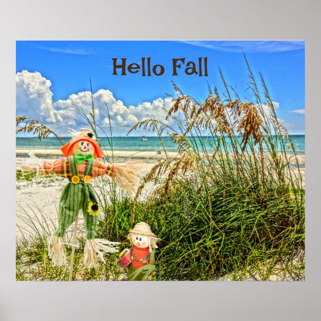 Kusten Sanibel Island Florida Beach & Fågelskrämma Poster (Framsidan)
