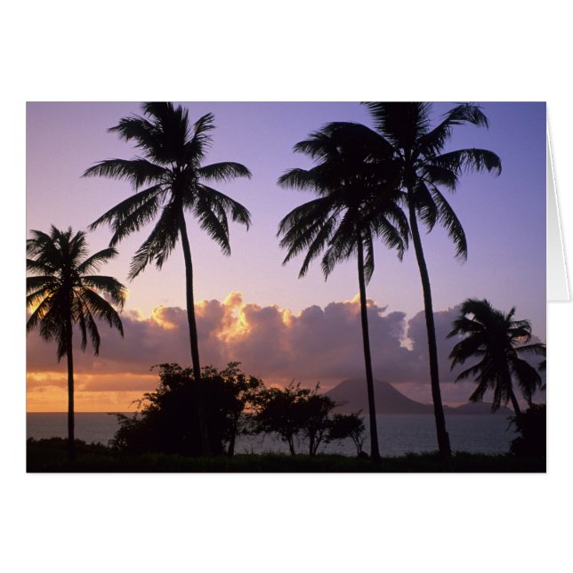 Kusten St. Kitts Hälsningskort (Framsidan Horizontal)