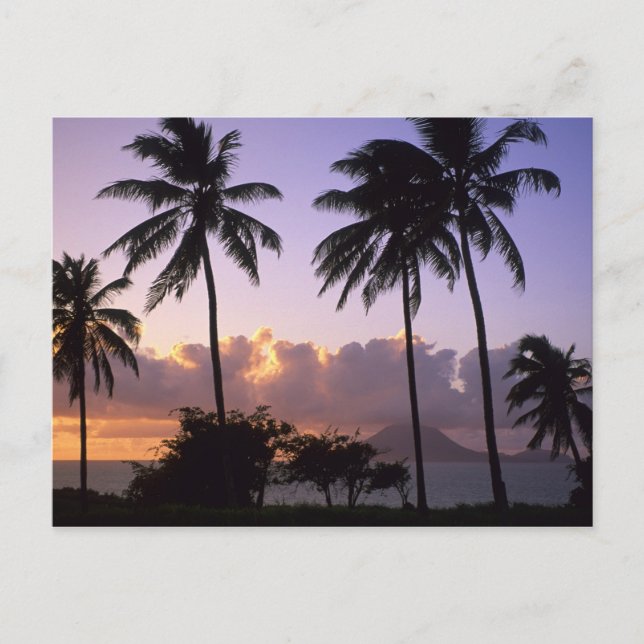 Kusten St. Kitts Vykort (Framsida)