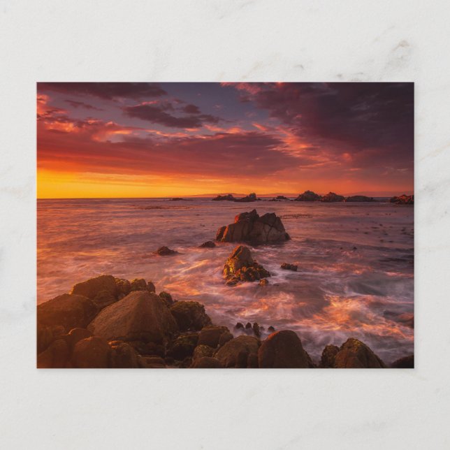 Kusten | Sunset Pacific Grove Carmel California Vykort (Framsida)