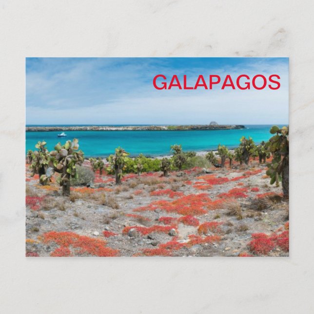 Kusten vid Galapagos Vykort (Framsida)