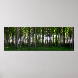 Küstenschutzwald. Poster