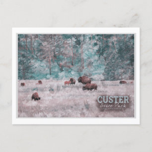KUSTER SOUTH DAKOTA - HERD AV BISONVATTENFÄRGEN VYKORT