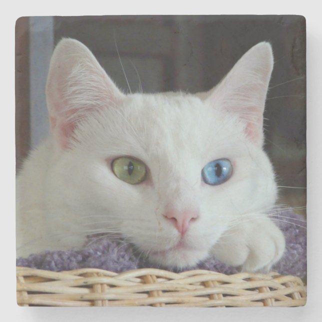 Kustfartyg #2 för Serenitynärbildmarmor Stenunderlägg (Framsidan)