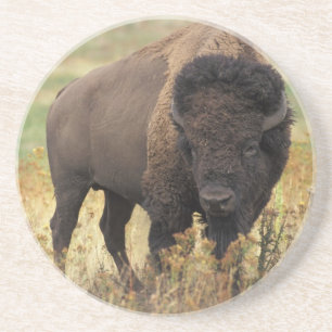 Kustfartyg för amerikanBisonsandsten Underlägg